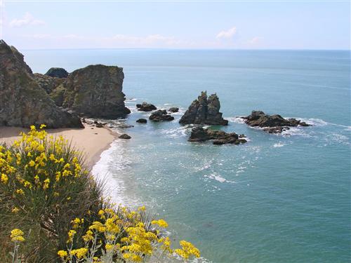 Camping *** Les Forges - Pornichet | La Baule - CAMPING LES FORGES ***