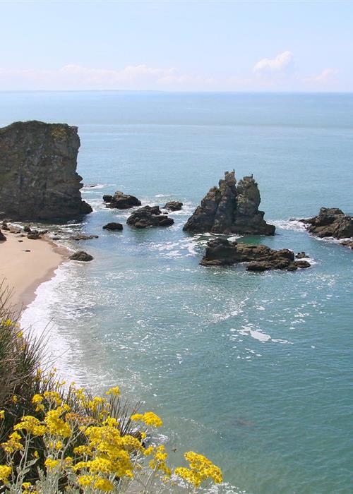 Camping *** Les Forges - Pornichet | La Baule - CAMPING LES FORGES ***