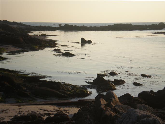 Vos vacances près du Croisic proche camping pornichet 