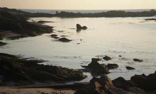 Vos vacances près du Croisic proche camping pornichet  - CAMPING LES FORGES ***