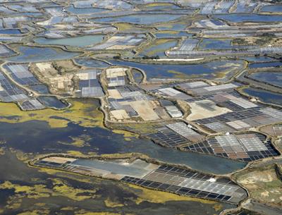 Découverte de Guérande et de ses marais salants