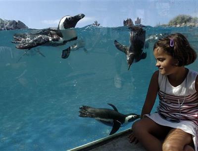 Ocearium du Croisic  proche camping pornichet 