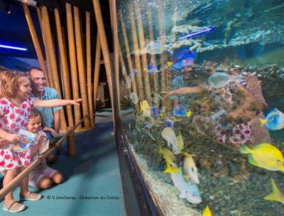 Océarium du Croisic à visiter en famille  proche camping pornichet 