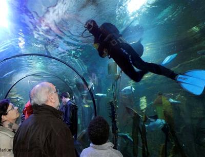 Océarium du Croisic  proche camping pornichet 