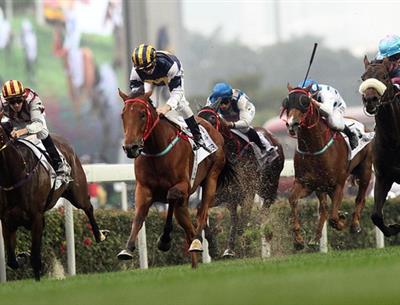 Hippodrome de Pornichet 