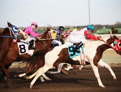 chevaux de Pornichet, courses hippiques