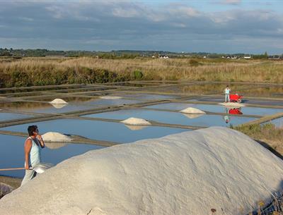 Récolte du sel à Guérande