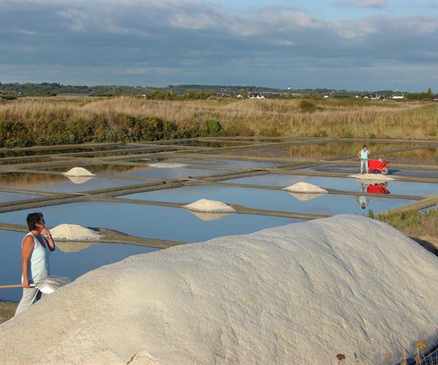 Récolte du sel à Guérande
