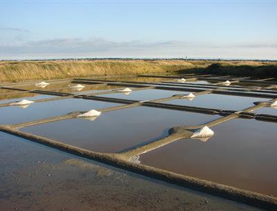 Marais salants de Guérande
