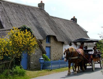 Promenade en calèche en Brière